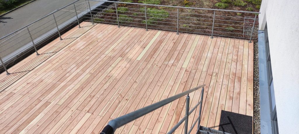 Douglasie Terrasse in Singen