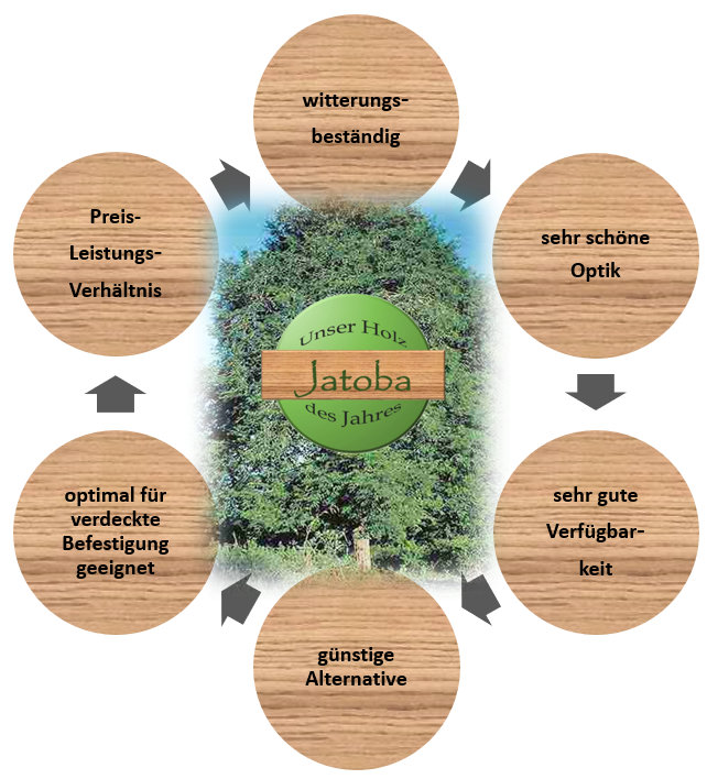 Jatoba - Holz des Jahres